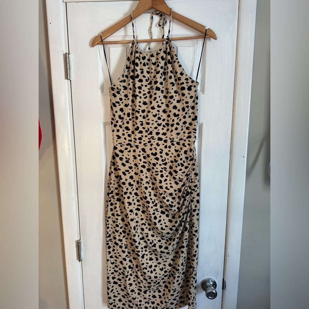 Cheetah Midi